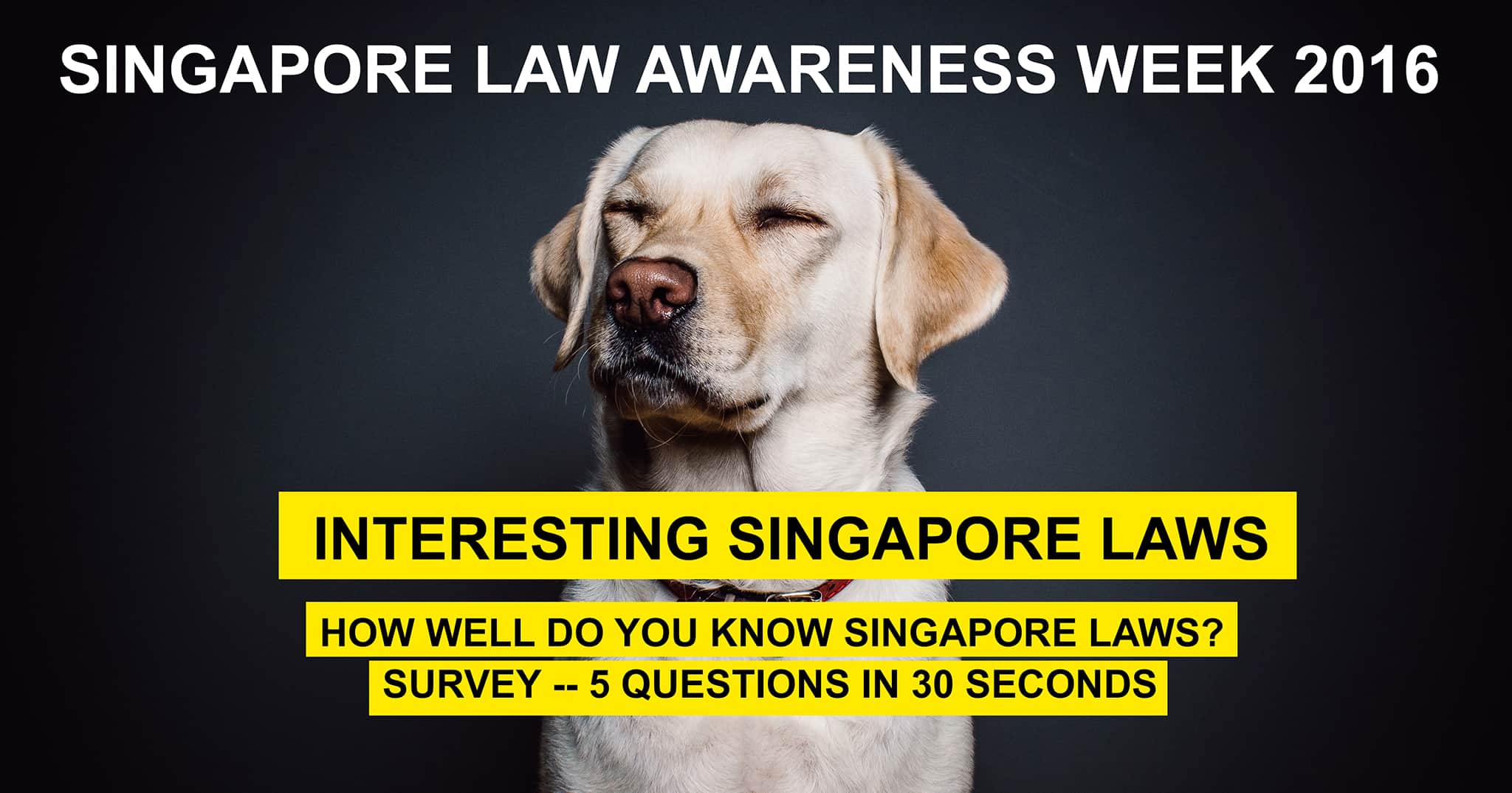 How well do you know Singapore Laws? - Asia Law Network Blog