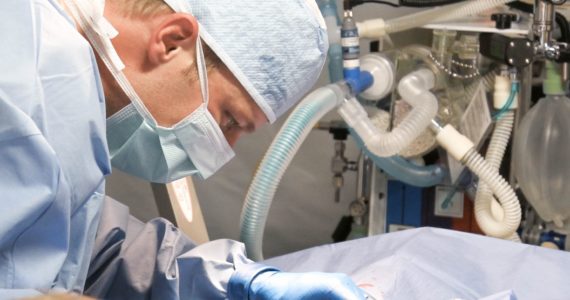 organtrading_asialawnetwork